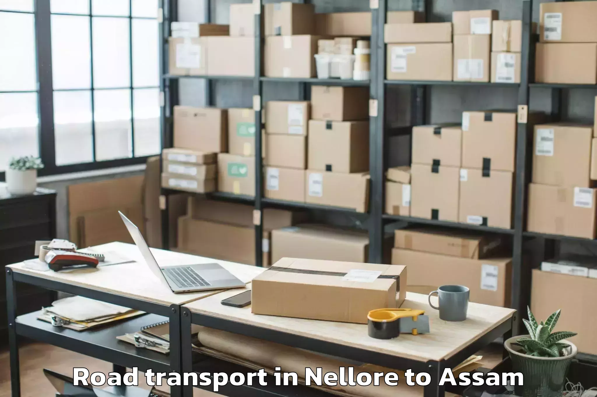 Book Nellore to Gossaigaon Pt Road Transport Online